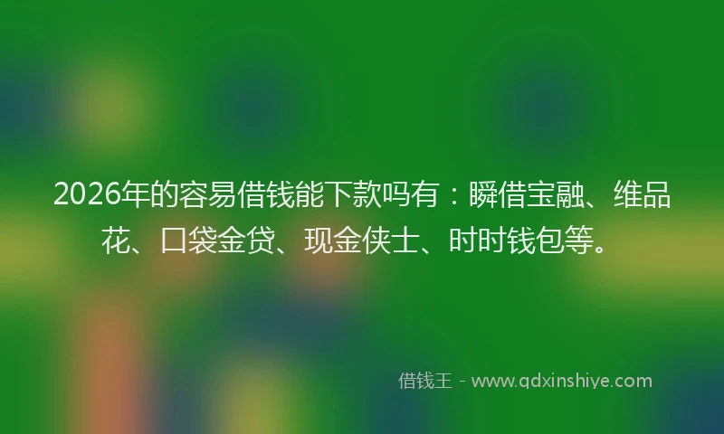 2026年的容易借钱能下款吗有：瞬借宝融、维品花、口袋金贷、现金侠士、时时钱包等。