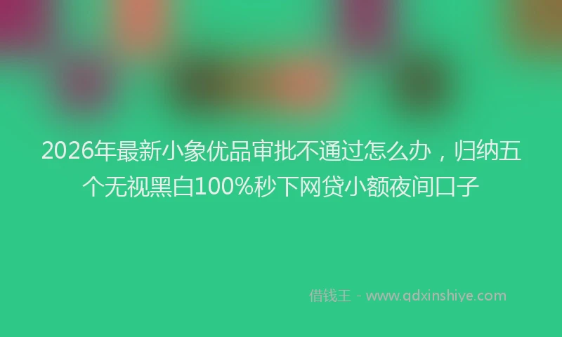 2026年最新小象优品审批不通过怎么办，归纳五个无视黑白100%秒下网贷小额夜间口子