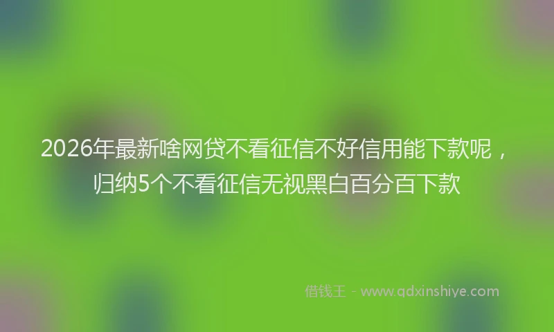 2026年最新啥网贷不看征信不好信用能下款呢，归纳5个不看征信无视黑白百分百下款