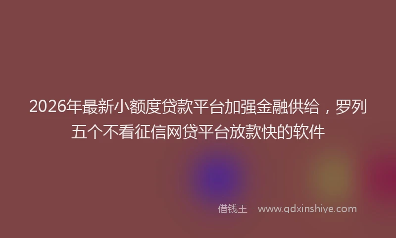 2026年最新小额度贷款平台加强金融供给，罗列五个不看征信网贷平台放款快的软件