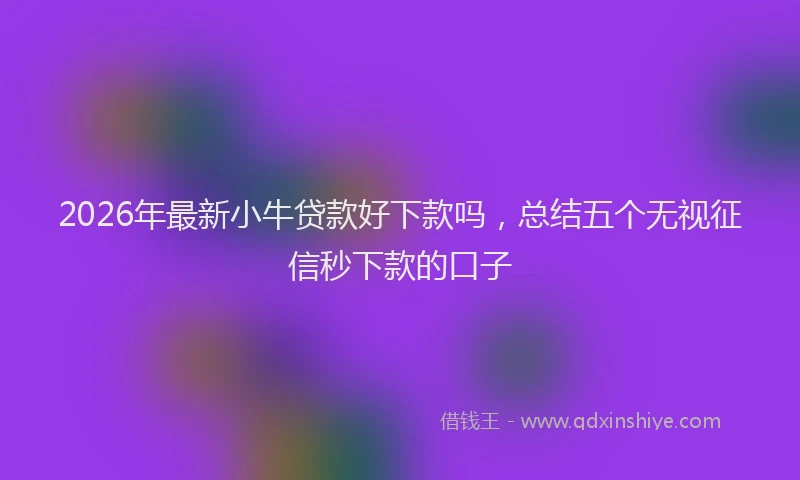 2026年最新小牛贷款好下款吗，总结五个无视征信秒下款的口子