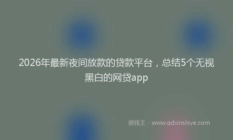 2026年最新夜间放款的贷款平台，总结5个无视黑白的网贷app