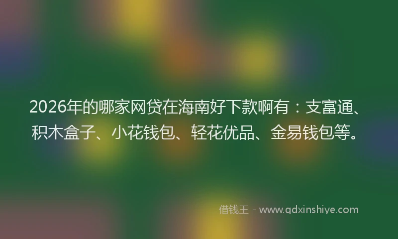 2026年的哪家网贷在海南好下款啊有：支富通、积木盒子、小花钱包、轻花优品、金易钱包等。