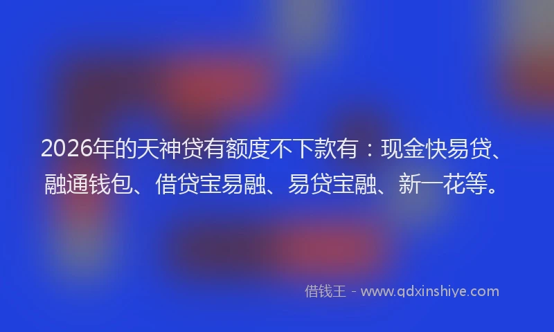 2026年的天神贷有额度不下款有：现金快易贷、融通钱包、借贷宝易融、易贷宝融、新一花等。