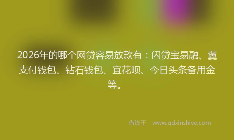 2026年的哪个网贷容易放款有：闪贷宝易融、翼支付钱包、钻石钱包、宜花呗、今日头条备用金等。