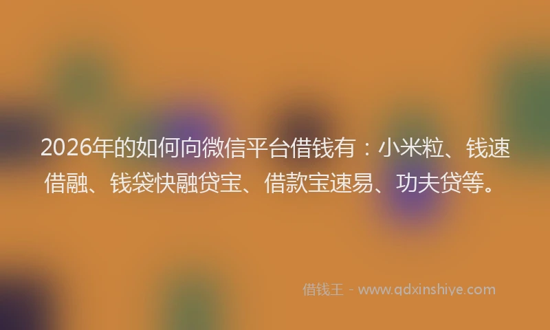 2026年的如何向微信平台借钱有：小米粒、钱速借融、钱袋快融贷宝、借款宝速易、功夫贷等。