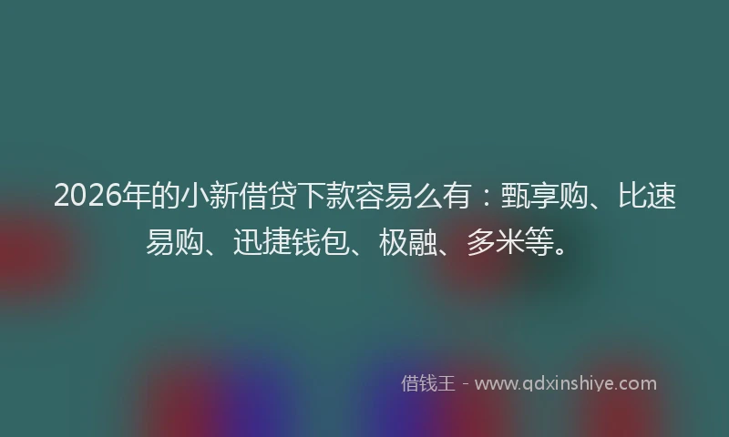 2026年的小新借贷下款容易么有：甄享购、比速易购、迅捷钱包、极融、多米等。
