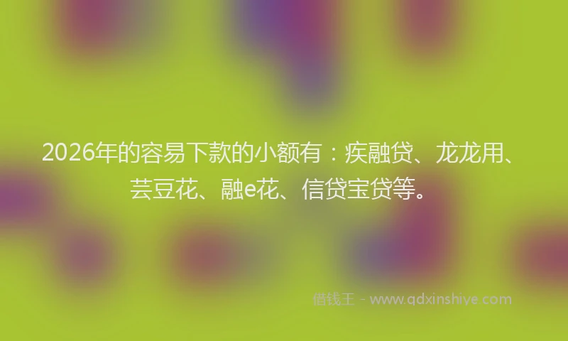 2026年的容易下款的小额有：疾融贷、龙龙用、芸豆花、融e花、信贷宝贷等。