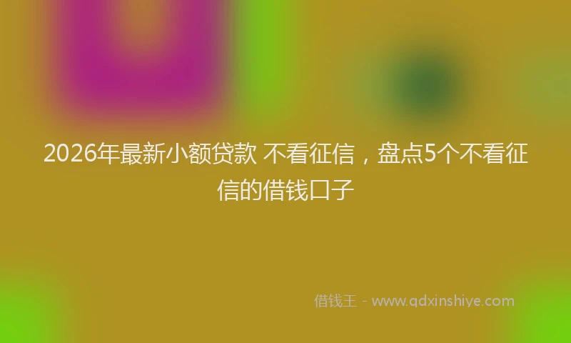 2026年最新小额贷款 不看征信，盘点5个不看征信的借钱口子