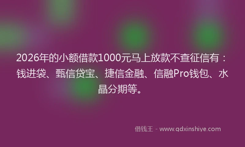 2026年的小额借款1000元马上放款不查征信有：钱进袋、甄信贷宝、捷信金融、信融Pro钱包、水晶分期等。
