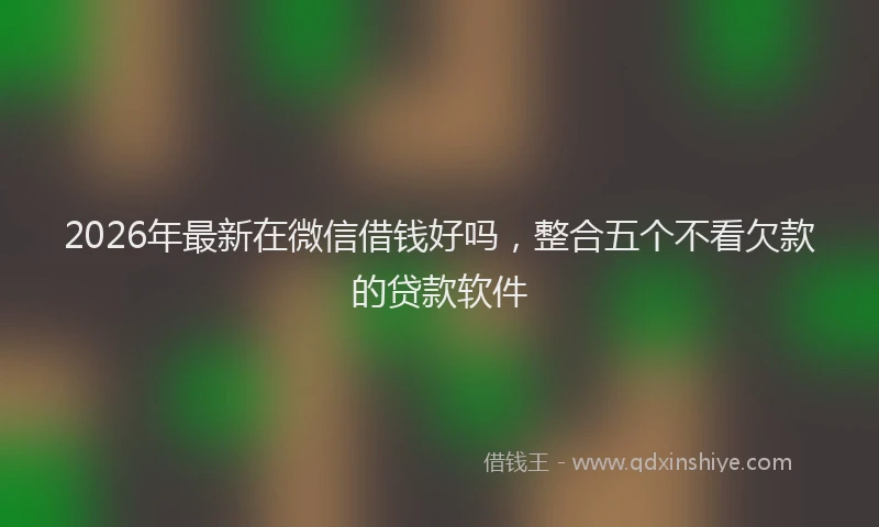 2026年最新在微信借钱好吗，整合五个不看欠款的贷款软件