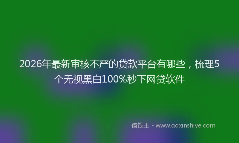 2026年最新审核不严的贷款平台有哪些，梳理5个无视黑白100%秒下网贷软件