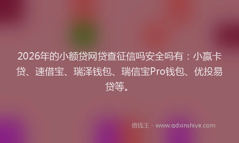 2026年的小额贷网贷查征信吗安全吗有：小赢卡贷、速借宝、瑞泽钱包、瑞信宝Pro钱包、优投易贷等。