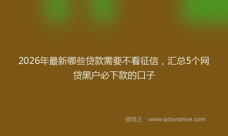 2026年最新哪些贷款需要不看征信，汇总5个网贷黑户必下款的口子
