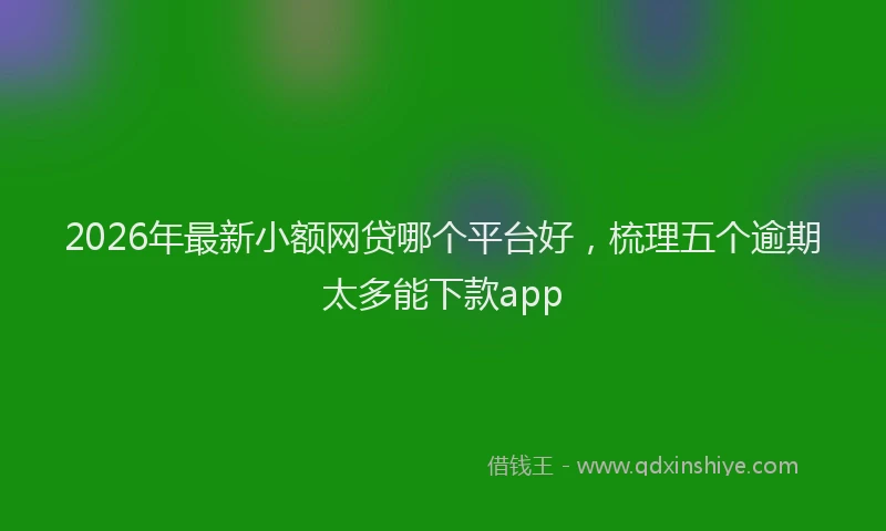 2026年最新小额网贷哪个平台好，梳理五个逾期太多能下款app
