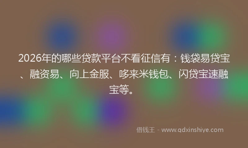 2026年的哪些贷款平台不看征信有：钱袋易贷宝、融资易、向上金服、哆来米钱包、闪贷宝速融宝等。