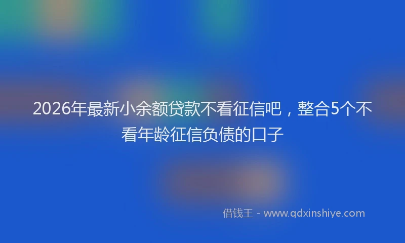2026年最新小余额贷款不看征信吧，整合5个不看年龄征信负债的口子