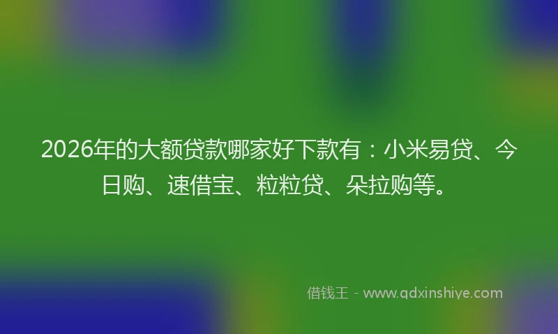 2026年的大额贷款哪家好下款有:小米易贷、今日购、速借宝、粒粒贷、朵拉购等。