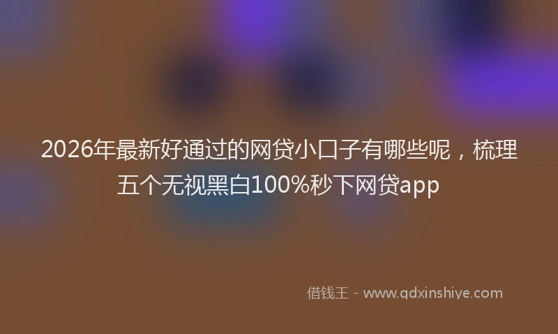 2026年最新好通过的网贷小口子有哪些呢，梳理五个无视黑白100%秒下网贷app
