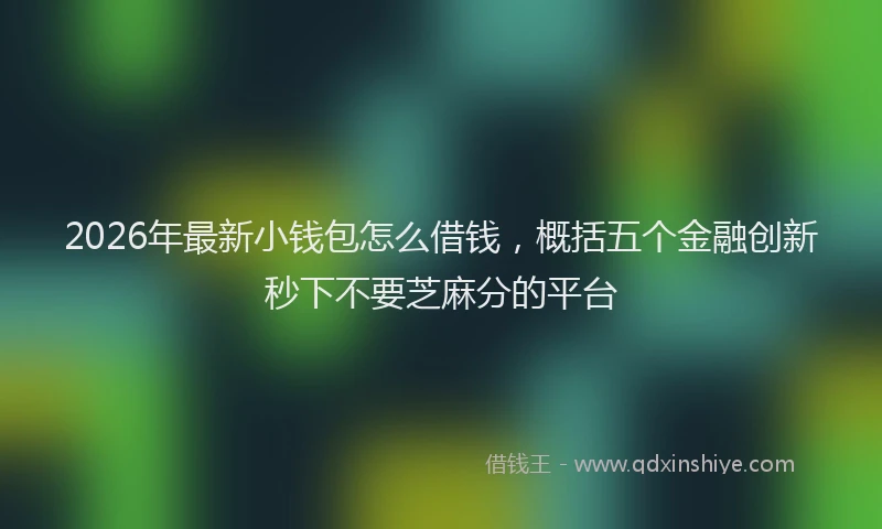 2026年最新小钱包怎么借钱，概括五个金融创新秒下不要芝麻分的平台