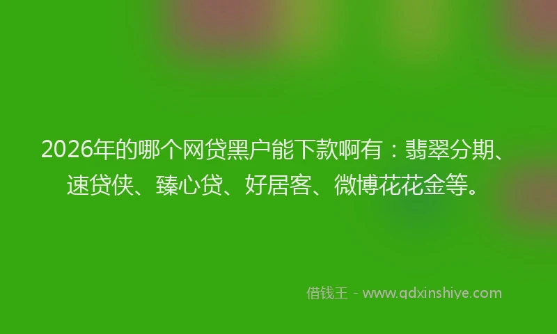 2026年的哪个网贷黑户能下款啊有：翡翠分期、速贷侠、臻心贷、好居客、微博花花金等。