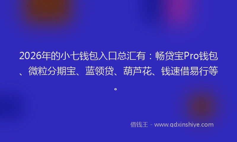 2026年的小七钱包入口总汇有：畅贷宝Pro钱包、微粒分期宝、蓝领贷、葫芦花、钱速借易行等。