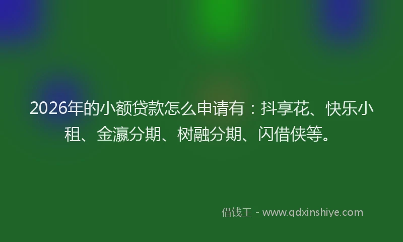 2026年的小额贷款怎么申请有：抖享花、快乐小租、金瀛分期、树融分期、闪借侠等。