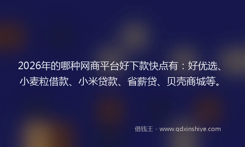 2026年的哪种网商平台好下款快点有：好优选、小麦粒借款、小米贷款、省薪贷、贝壳商城等。