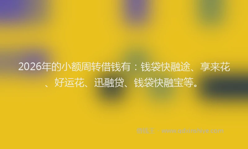 2026年的小额周转借钱有：钱袋快融途、享来花、好运花、迅融贷、钱袋快融宝等。