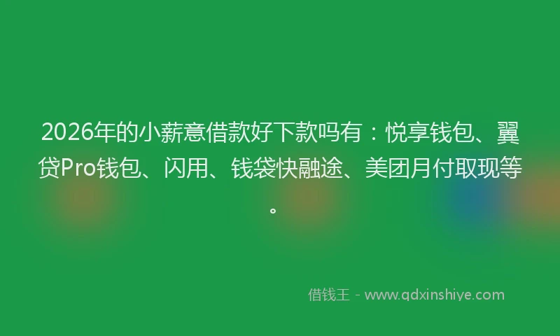 2026年的小薪意借款好下款吗有：悦享钱包、翼贷Pro钱包、闪用、钱袋快融途、美团月付取现等。