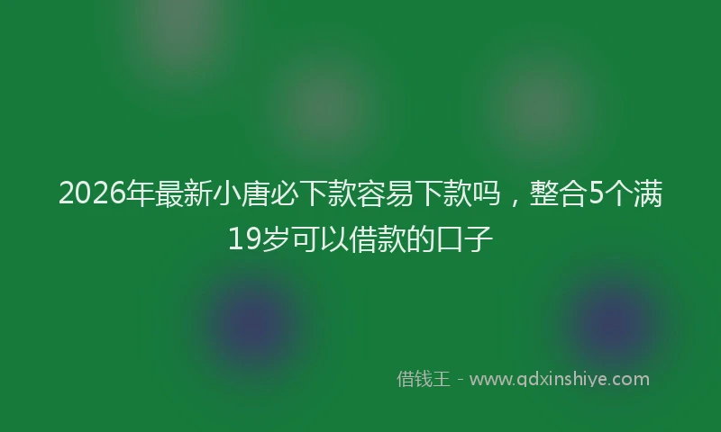 2026年最新小唐必下款容易下款吗，整合5个满19岁可以借款的口子
