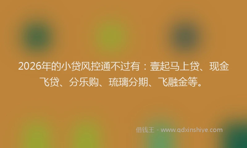 2026年的小贷风控通不过有：壹起马上贷、现金飞贷、分乐购、琉璃分期、飞融金等。