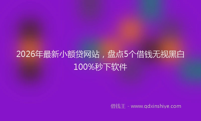 2026年最新小额贷网站，盘点5个借钱无视黑白100%秒下软件