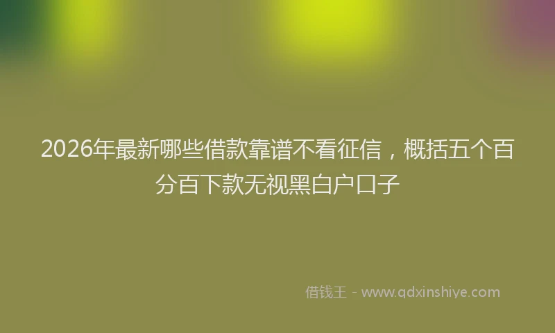 2026年最新哪些借款靠谱不看征信，概括五个百分百下款无视黑白户口子
