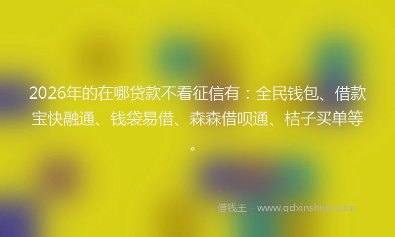 2026年的在哪贷款不看征信有:全民钱包、借款宝快融通、钱袋易借、森森借呗通、桔子买单等。