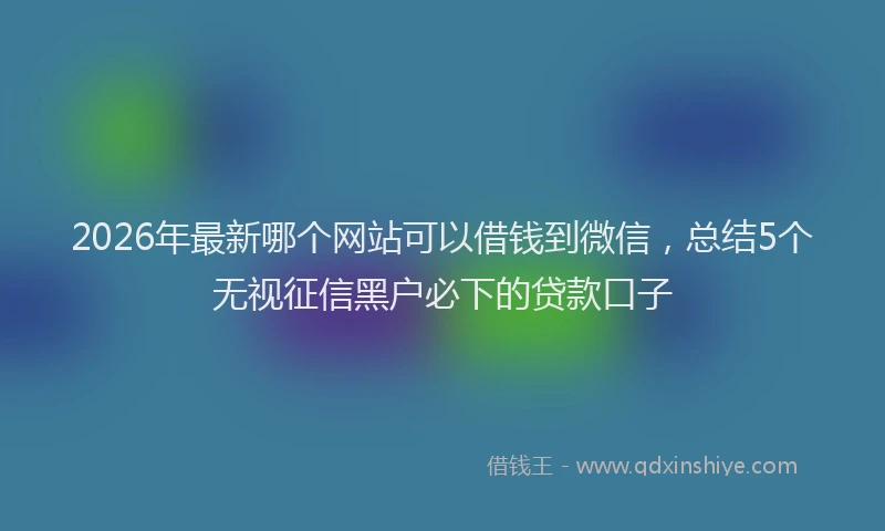 2026年最新哪个网站可以借钱到微信，总结5个无视征信黑户必下的贷款口子