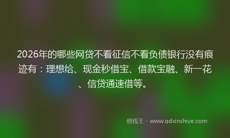 2026年的哪些网贷不看征信不看负债银行没有痕迹有:理想给、现金秒借宝、借款宝融、新一花、信贷通速借等。