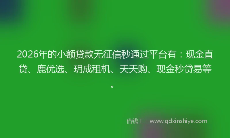 2026年的小额贷款无征信秒通过平台有：现金直贷、鹿优选、玥成租机、天天购、现金秒贷易等。