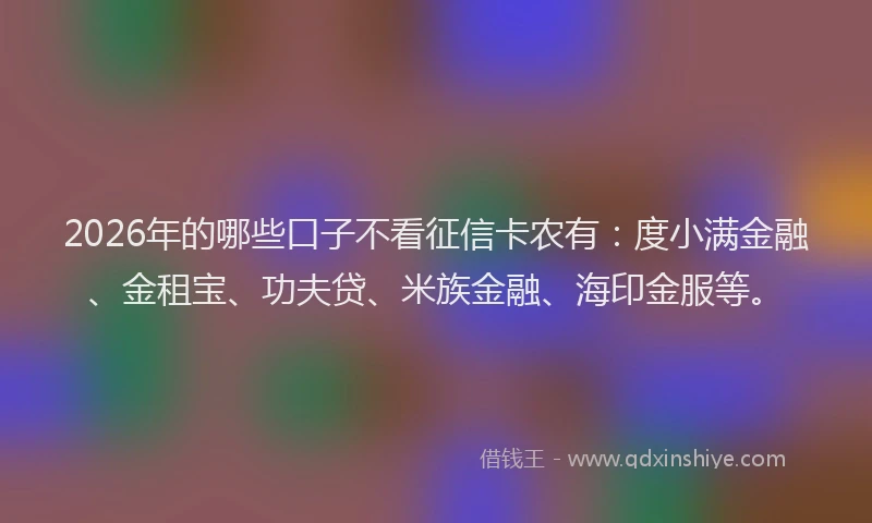2026年的哪些口子不看征信卡农有:度小满金融、金租宝、功夫贷、米族金融、海印金服等。