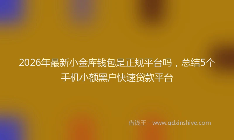 2026年最新小金库钱包是正规平台吗，总结5个手机小额黑户快速贷款平台