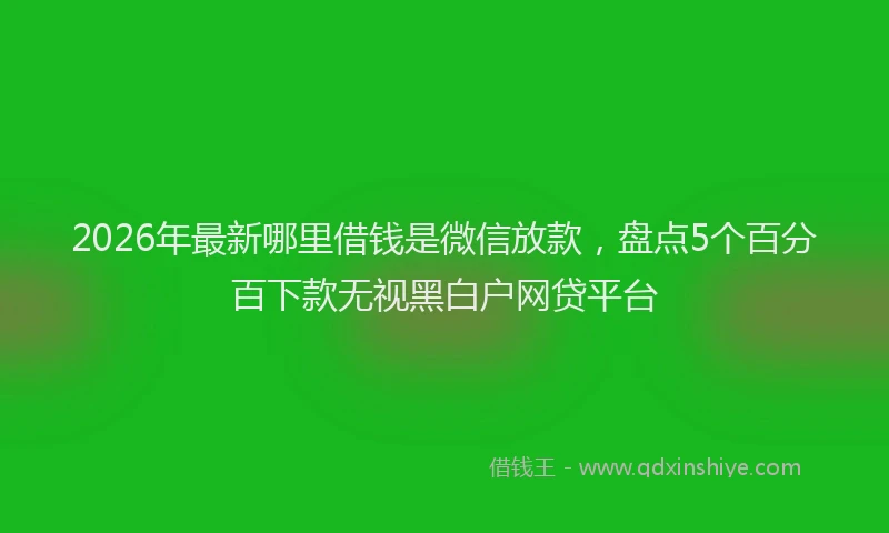 2026年最新哪里借钱是微信放款，盘点5个百分百下款无视黑白户网贷平台