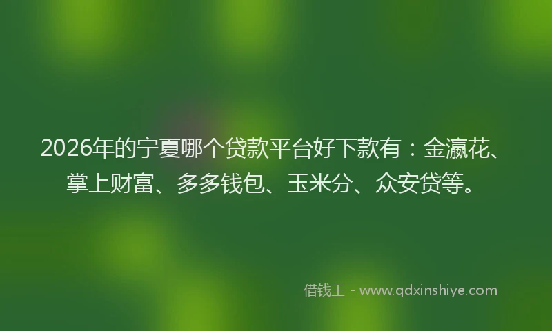 2026年的宁夏哪个贷款平台好下款有：金瀛花、掌上财富、多多钱包、玉米分、众安贷等。