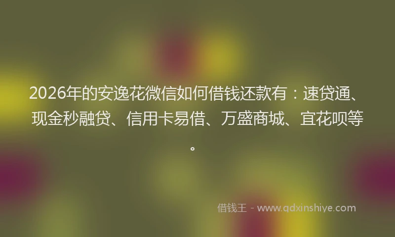 2026年的安逸花微信如何借钱还款有：速贷通、现金秒融贷、信用卡易借、万盛商城、宜花呗等。