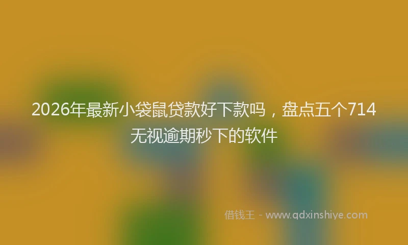 2026年最新小袋鼠贷款好下款吗，盘点五个714无视逾期秒下的软件