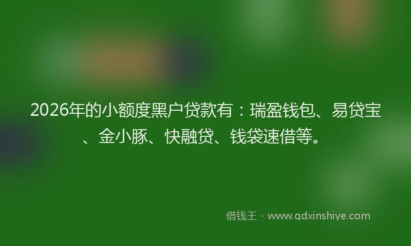 2026年的小额度黑户贷款有：瑞盈钱包、易贷宝、金小豚、快融贷、钱袋速借等。