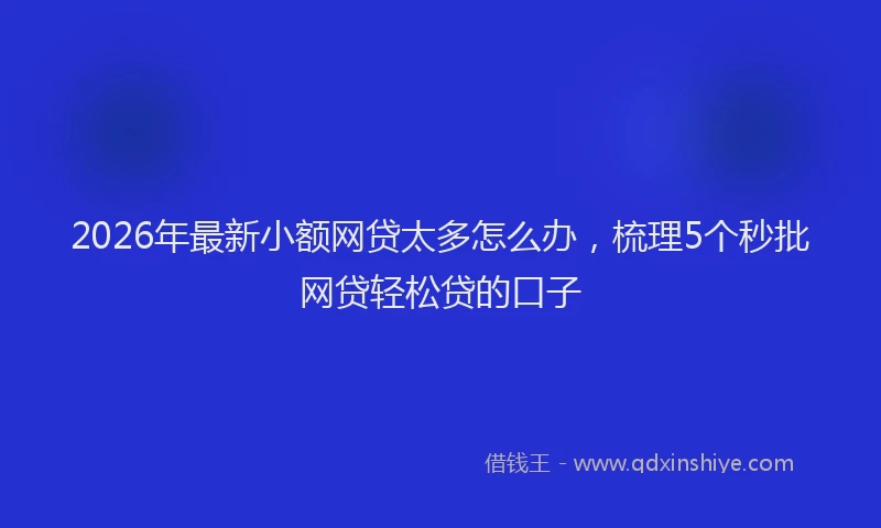 2026年最新小额网贷太多怎么办，梳理5个秒批网贷轻松贷的口子
