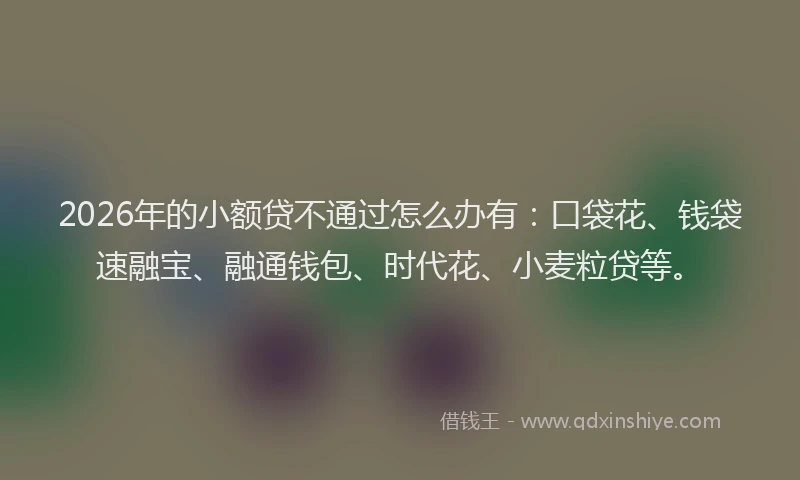 2026年的小额贷不通过怎么办有：口袋花、钱袋速融宝、融通钱包、时代花、小麦粒贷等。