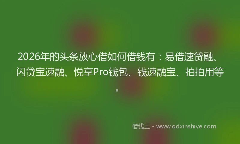2026年的头条放心借如何借钱有:易借速贷融、闪贷宝速融、悦享Pro钱包、钱速融宝、拍拍用等。