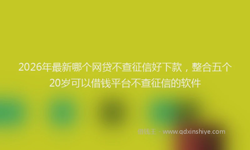 2026年最新哪个网贷不查征信好下款，整合五个20岁可以借钱平台不查征信的软件