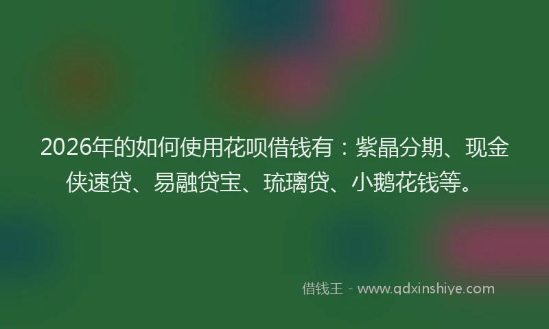 2026年的如何使用花呗借钱有：紫晶分期、现金侠速贷、易融贷宝、琉璃贷、小鹅花钱等。